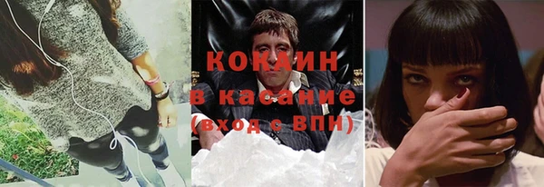 индика Алексин